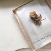 meia vintage dior, meia dior, meia vintage Christian dior, dior vintage, vintage lingerie
