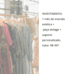 Atlas do Seu Estilo Arte, memória e moda vintage para revelar quem você é